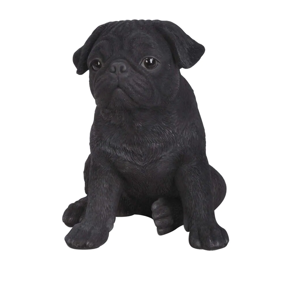Pugs: What's Good About 'Em, What's Bad About 'Em
