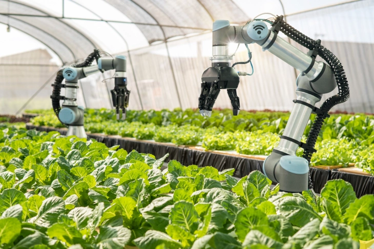 Foodtech Revolution Overview