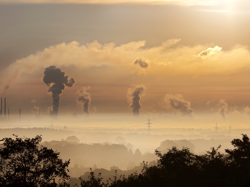 Help Nature Atmosphere Companies