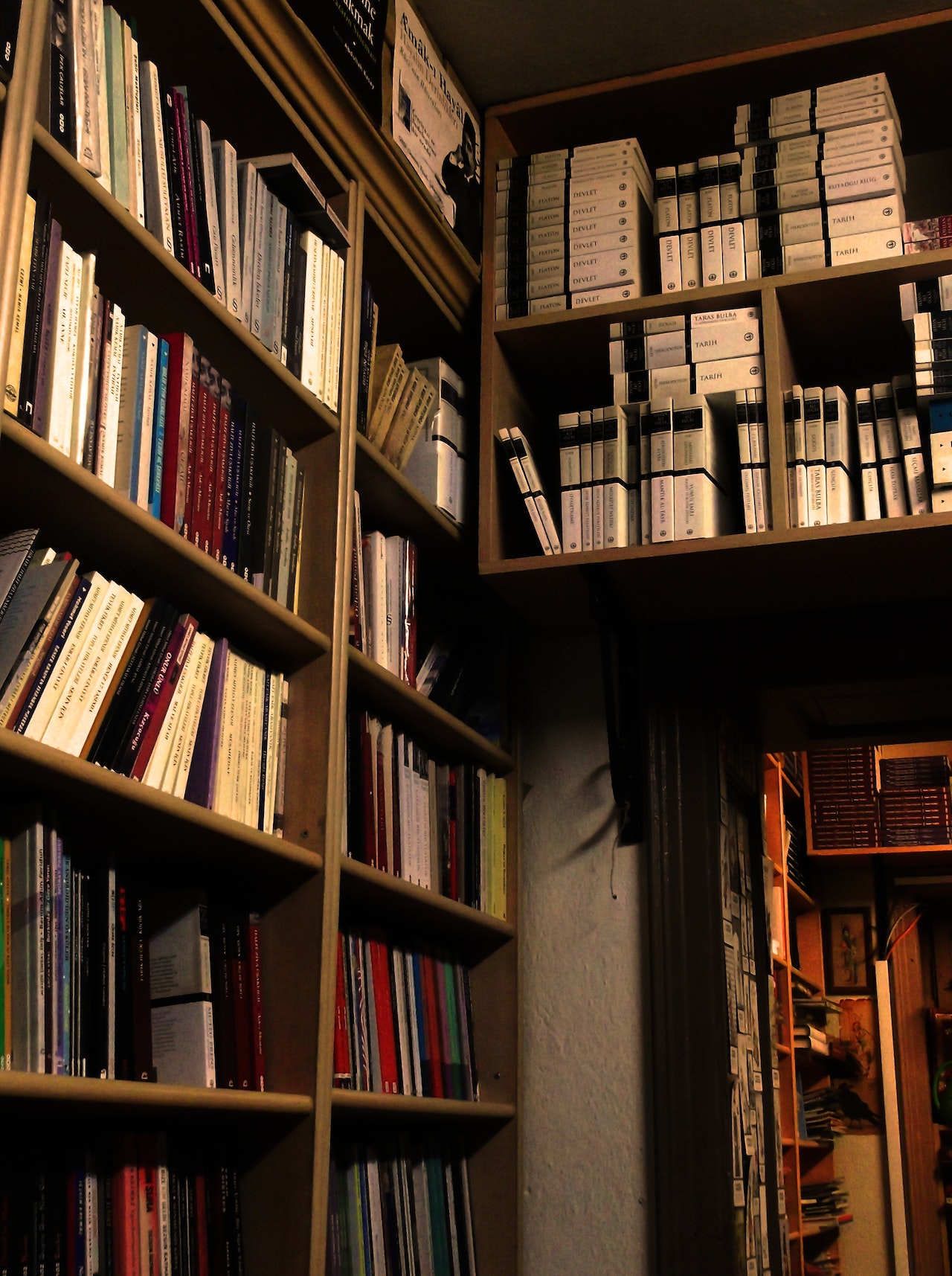 Iranian translator to bring Korean works to world
