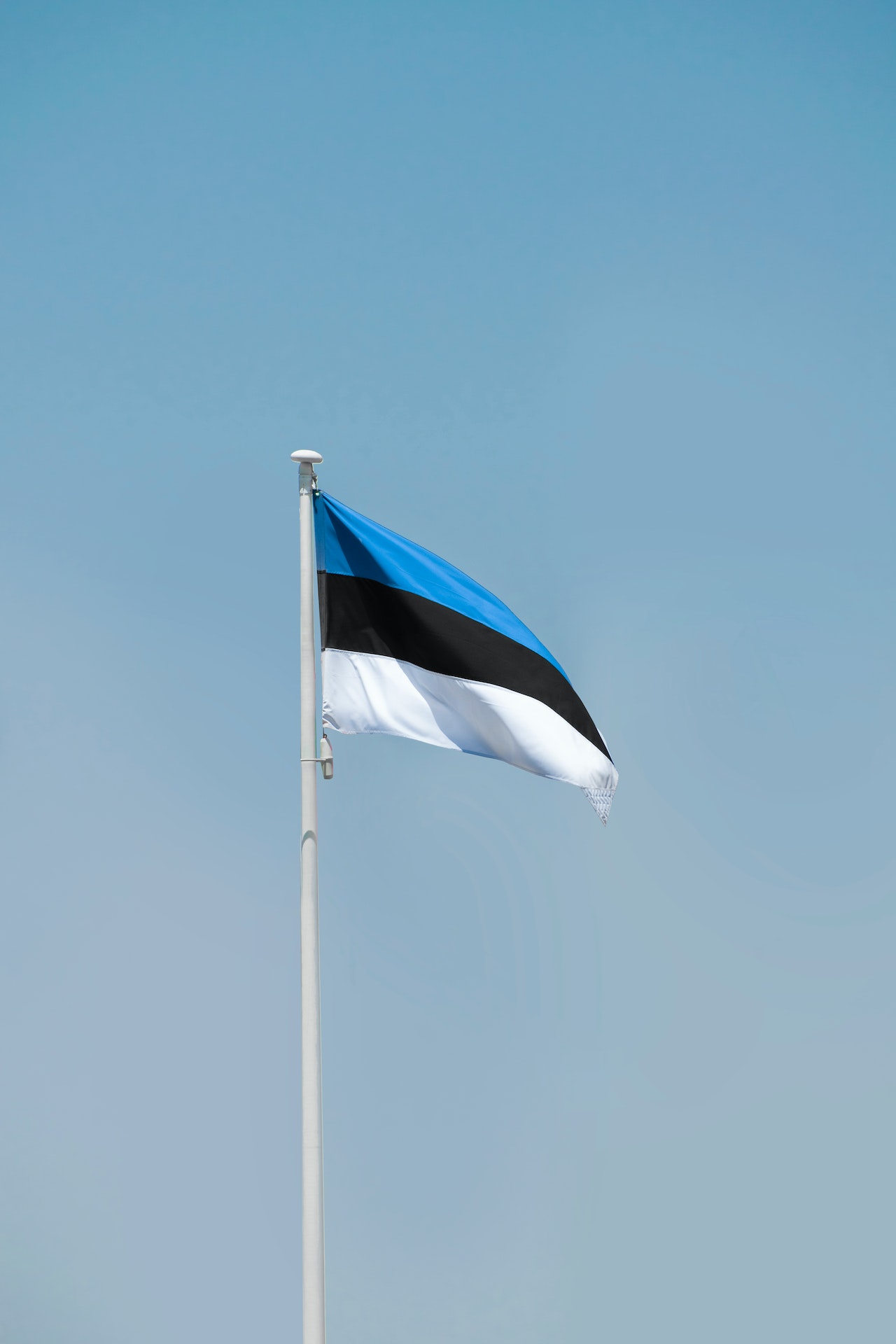 Estonians add neologisms to the dictionary