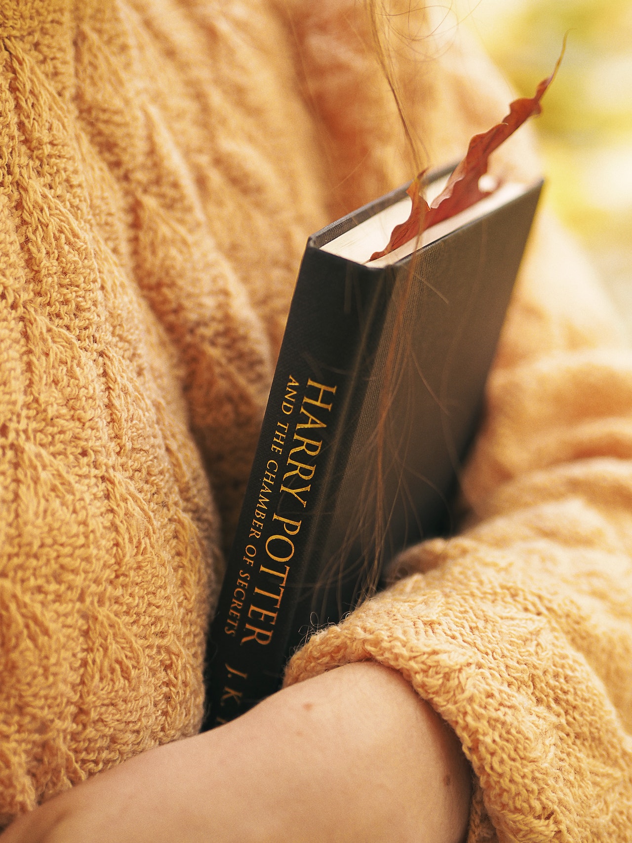 Rare Harry Potter pages displayed