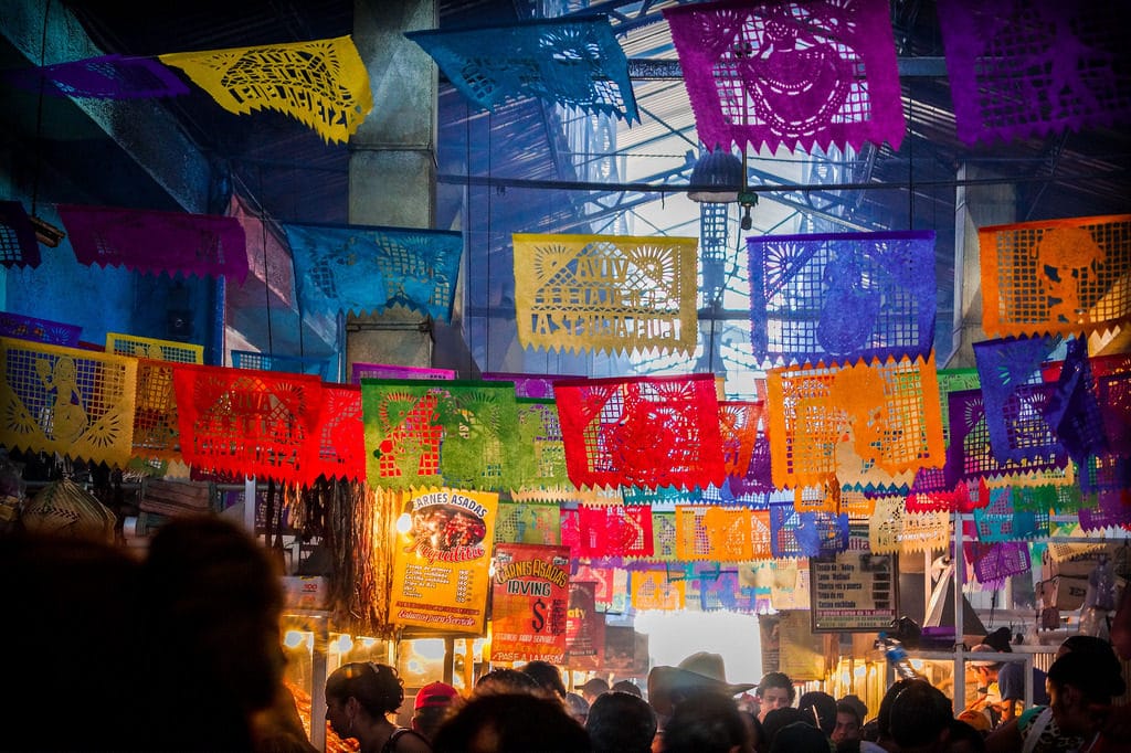 Insights into Languages How They Reflect Culture and Evolve