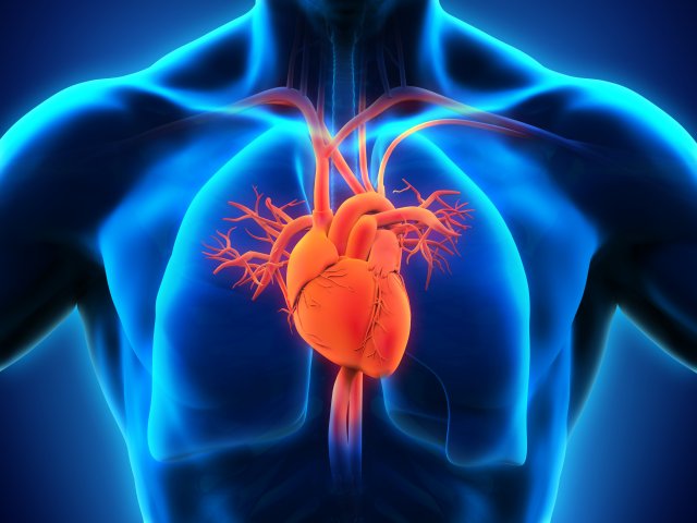 Cardiovascular Diseases in Spain: Understanding the Silent Threat