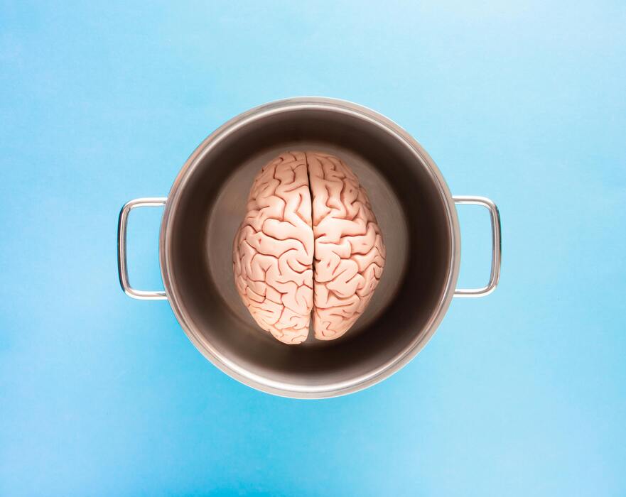 How Brain Research Is Unlocking Human Potential