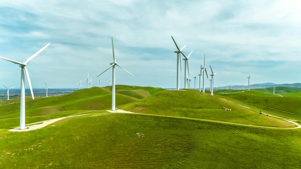 De los Datos a la Acción. Midiendo una Economía Verde