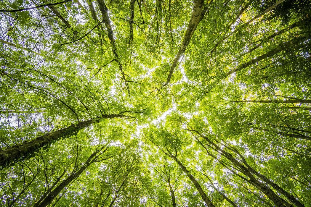 Rethinking Global Environmental Systems