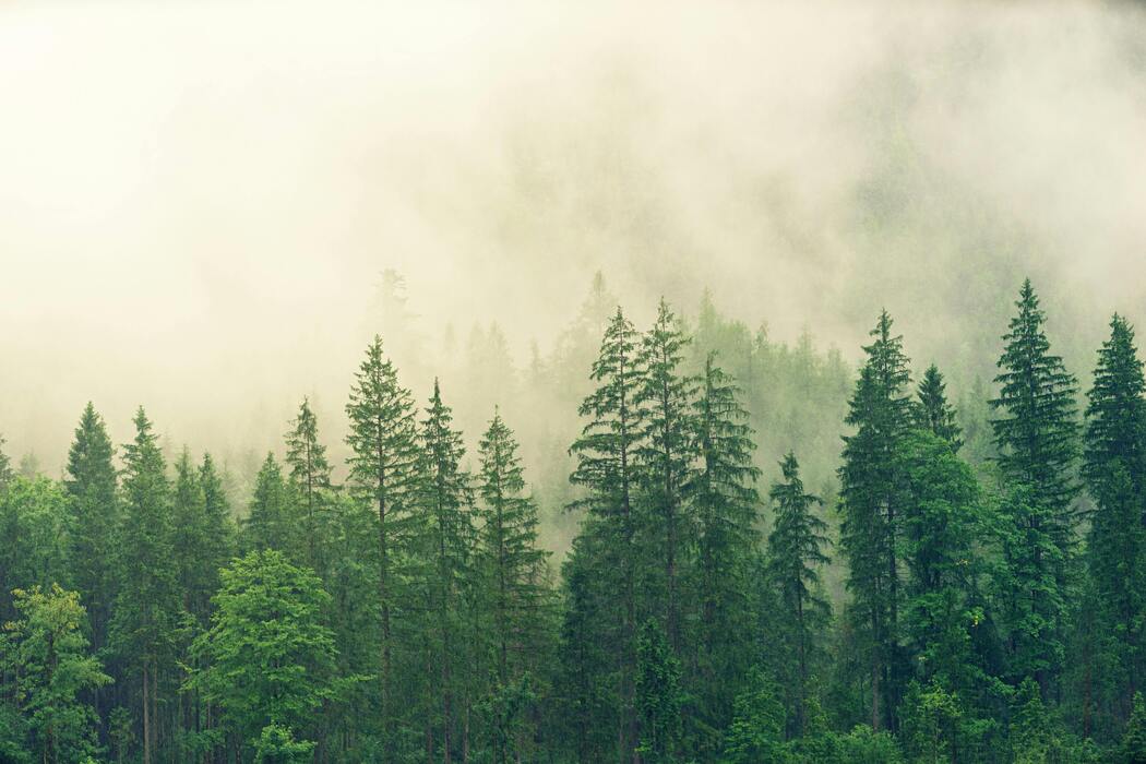 La Complessità del Nostro Ambiente Condiviso