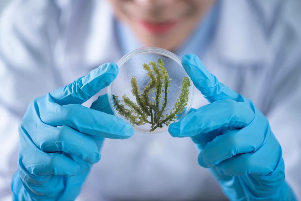 Biotech Breakthroughs Shaping the Future of Medicine