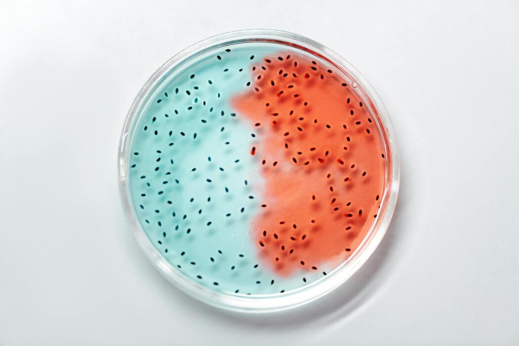 Principales innovaciones que están impulsando la industria biotecnológica