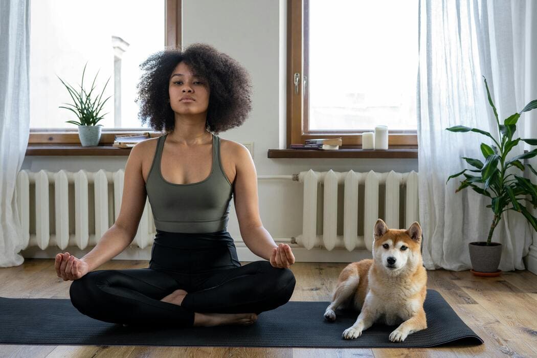 Bien-être Essentiel Pour Une Vie équilibrée