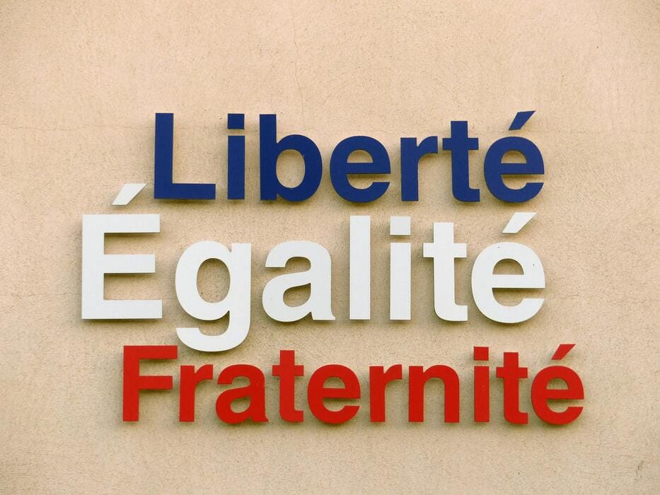 How Political Messaging Shapes Voter Behavior in France