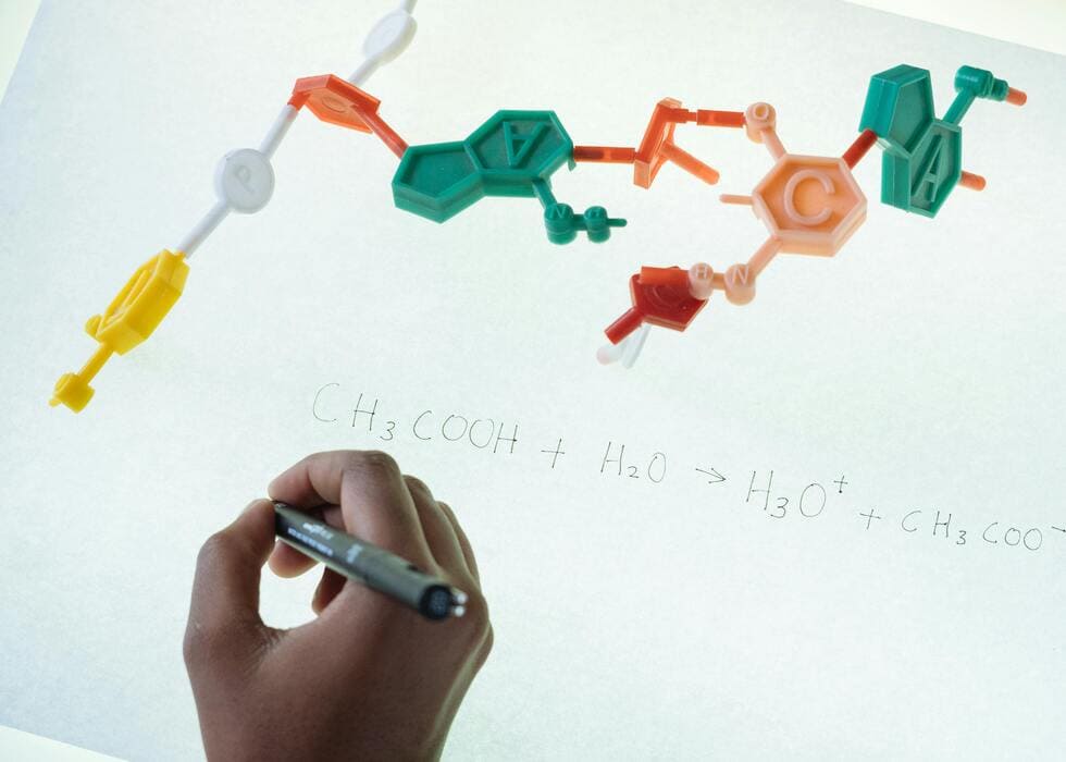 How Editing and Proofreading Support Dutch Science Excellence