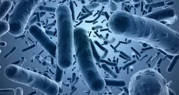 25 Interesting Facts About Diseases